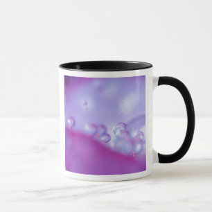 Dew drops on flower petal abstract. Credit as: Mug