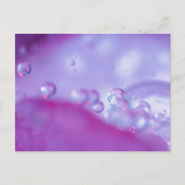 Dew drops on flower petal abstract. Credit as: Postcard (Front)