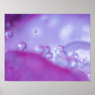 Dew drops on flower petal abstract. Credit as: Poster