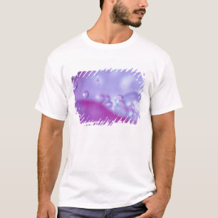 Dew drops on flower petal abstract. Credit as: T-Shirt