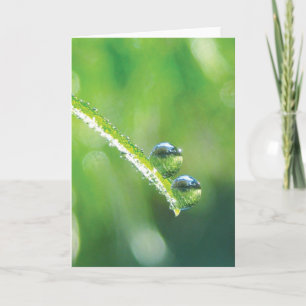 Dew Drops on Green Grass Earth Reflections Card