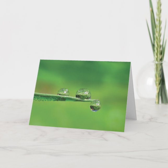Dew Drops on Green Grass Poetry of Nature Card (Front)