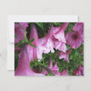 Dew Drops on Pink Flowers Card