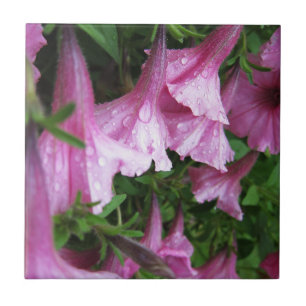 Dew Drops on Pink Flowers Tile