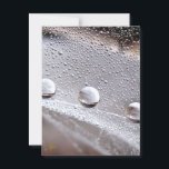 Dew Drops on Spider Web Galaxy Nature Postcard<br><div class="desc">Dew Drops dance along the Milky Way in this stunning, mesmerizing, macro photo post card print. Snail Mail lives and these beautiful, colorful, nature note cards make for gorgeous stationary! Carl Sagan comes to mind. I'm not sure why but I think it every time I see this photo. What a...</div>