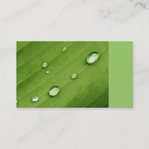 Dew on Leaf Nature Business Cards