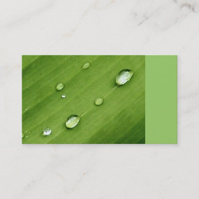 Dew on Leaf Nature Business Cards (Front)