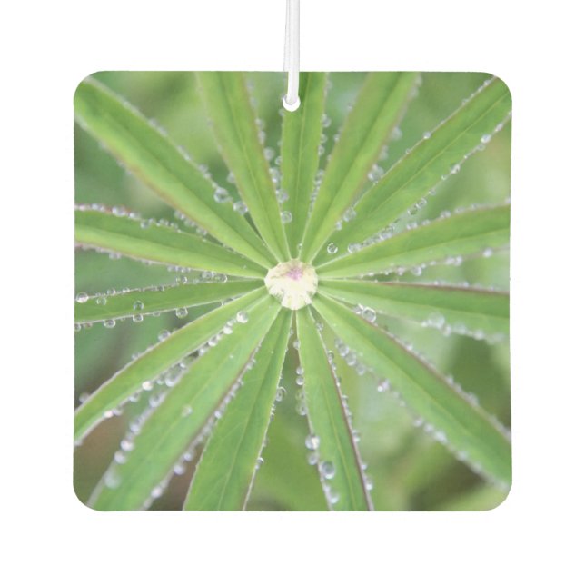 Dewdrop Car Air Freshener (Front)