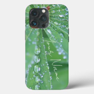 Dewdrop iPhone 13 Pro Case
