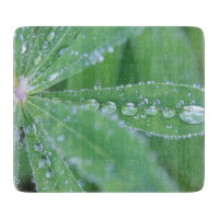 Dewdrop
