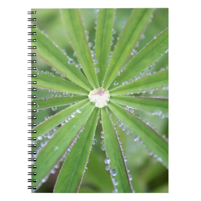 Dewdrop Notebook (Front)
