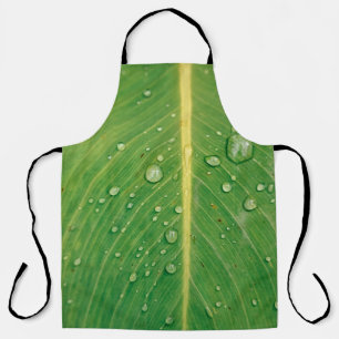 Dewdrop on green leafed plant apron
