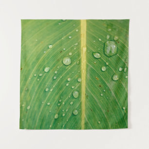 Dewdrop on green leafed plant tapestry