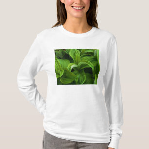 Dewdrops on a False Helabore T-Shirt