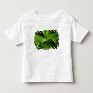 Dewdrops on a False Helabore Toddler T-Shirt