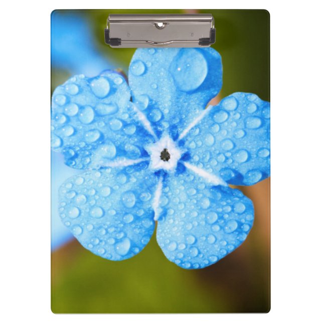 Dewey blue flower clipboard (Front)