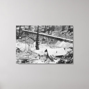 Dewey Gold Mine on Thunder Mountain, Idaho Canvas Print