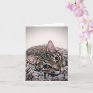 Dewey the cat, blank notecard