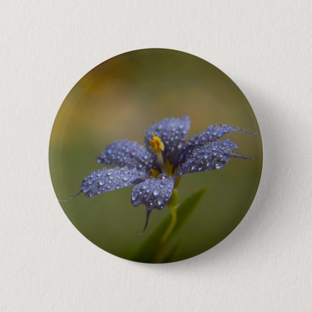 Dewy Blue-Eyed 6 Cm Round Badge (Front)