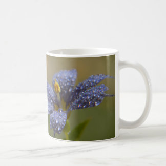 Dewy Blue-Eyed Coffee Mug