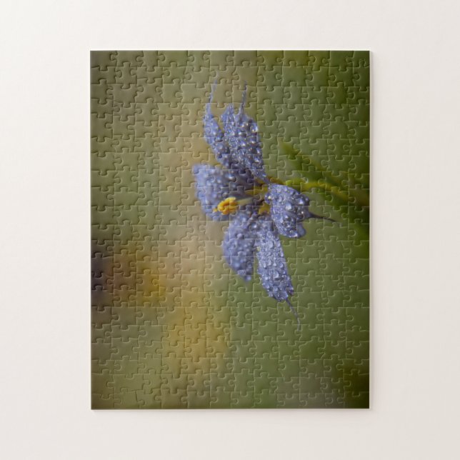 Dewy Blue-Eyed Jigsaw Puzzle (Vertical)