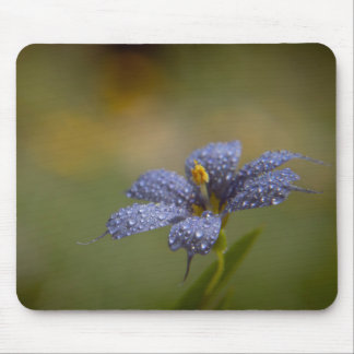 Dewy Blue-Eyed Mouse Pad