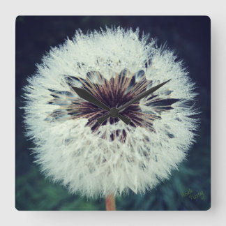 Dewy Dandelion Clock ...Clock!