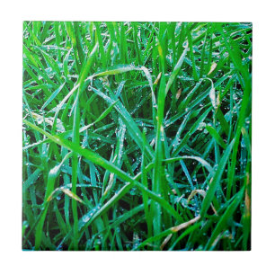 Dewy Grass Tile