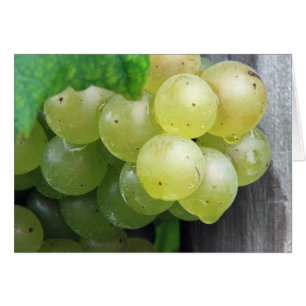 Dewy Green Grapes