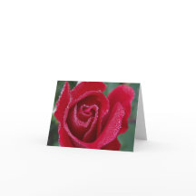 Dewy Rose Note Card
