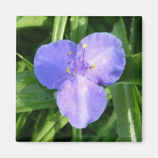 Dewy Trillium Spring Wildflower Magnet