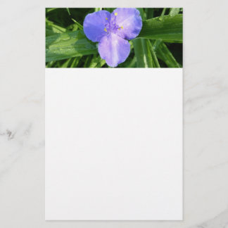 Dewy Trillium Spring Wildflower Stationery