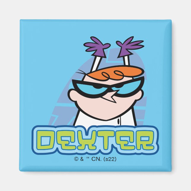 Dexter Character Name Graphic Magnet (Front)