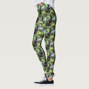 Dexter The Black Siamese Cat,  Ladies Leggings