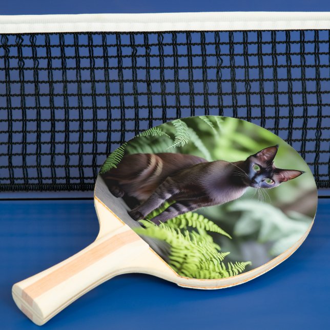 Dexter The Black Siamese Cat,  Ping Pong Paddle (Insitu)
