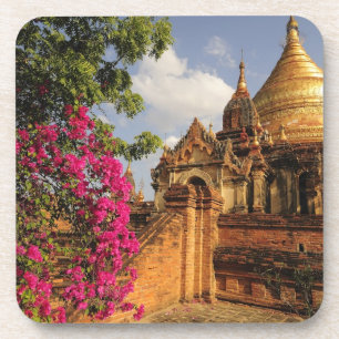 Dhamma Yazaka Pagoda at Bagan (Pagan), Myanmar Coaster