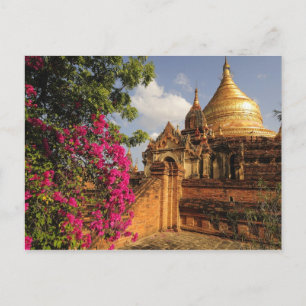 Dhamma Yazaka Pagoda at Bagan (Pagan), Myanmar Postcard
