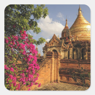 Dhamma Yazaka Pagoda at Bagan (Pagan), Myanmar Square Sticker