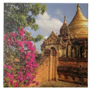 Dhamma Yazaka Pagoda at Bagan (Pagan), Myanmar Tile