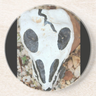 dia de los muertos painted skull coaster
