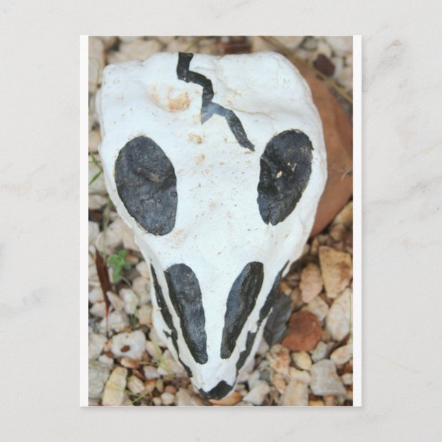 dia del muerte skull postcard (Front)
