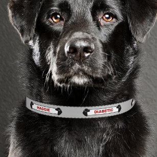 Diabetic Dog Alert Black Dog Silhouettes Grey Red Pet Collar