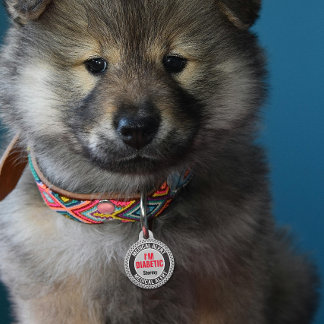 Diabetic Pet Medical Alert Custom Name Grey Black  Tag