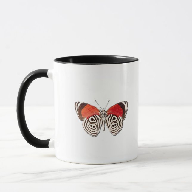 Diaethria clymena mug (Left)