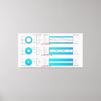 Diagram Chart Optical fibre types multimode Canvas Print