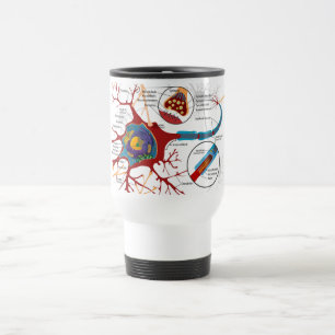 Diagram Complete Neuron Cell Nerve Nervous System Travel Mug