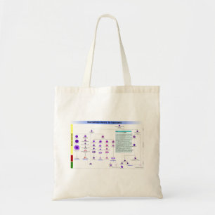 Diagram Haematopoiesis in Humans Stem Cells Tote Bag