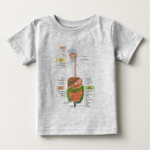 Diagram Human Gastrointestinal Digestive system Baby T-Shirt