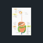Diagram Human Gastrointestinal Digestive system  Canvas Print<br><div class="desc">Diagram Human Gastrointestinal Digestive system Canvas Print</div>
