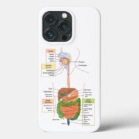 Diagram Human Gastrointestinal Digestive system 